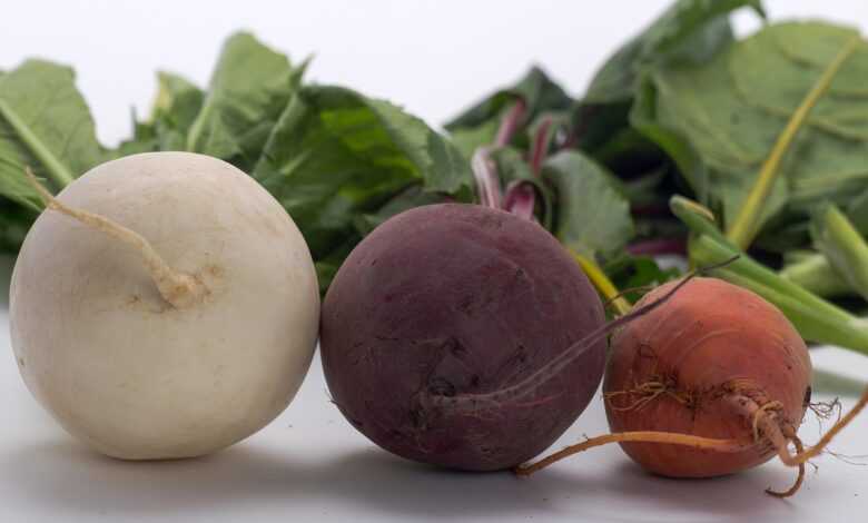 vegetables, beetroot, turnip, rättich, beetroot, turnip, turnip, turnip, turnip, turnip