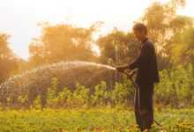 vietnam, man, gardening, watering plants, everyday life, portrait, nature, vietnamese, gardening, gardening, gardening, gardening, gardening