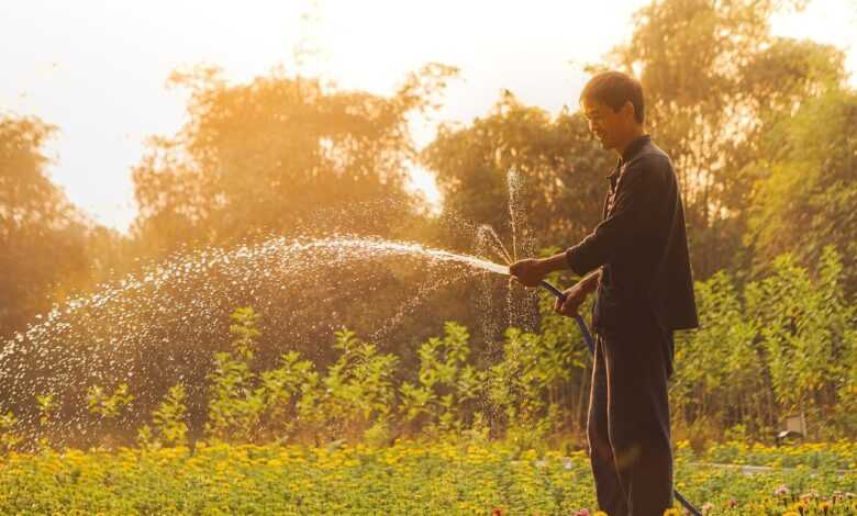 vietnam, man, gardening