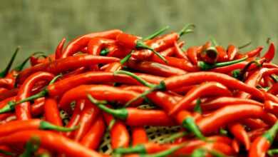 chilli pepper, spice, vegetables