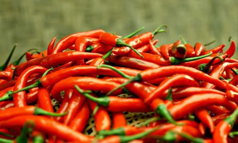 chilli pepper, spice, vegetables