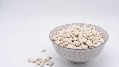 bean, white beans, legumes, food, protein, vegetarian