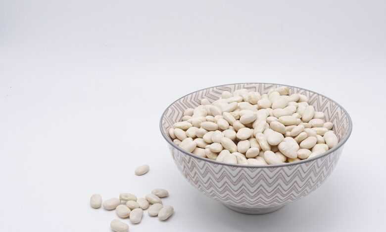 bean, white beans, legumes, food, protein, vegetarian