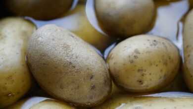 potatoes, vegetables, boiling