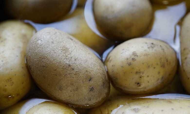 potatoes, vegetables, boiling