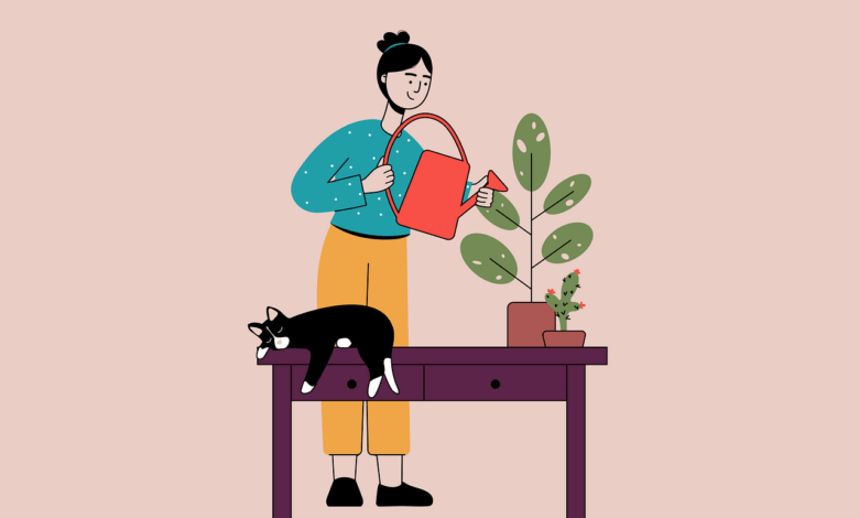 plant, watering, pet, cat, sleeping cat, plant watering, cactus, woman, gardening, woman, nature, woman, animal, woman, woman, woman