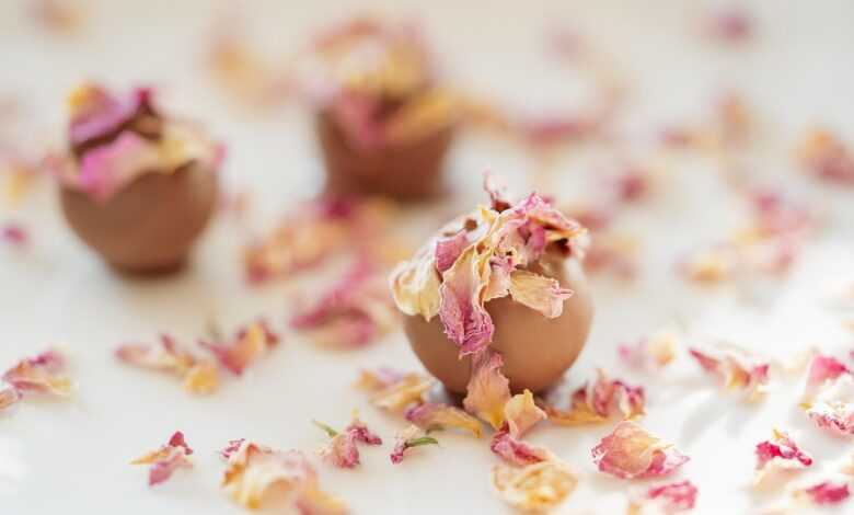 chocolate, truffles, confectionery, rose truffle, petals, sweets