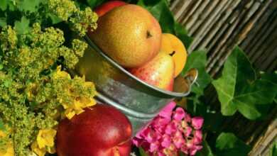 fruit, garden, nature, harvest, still life, multicoloured, food, beautiful flowers, meal, flower, flower background, yummy, fresh, flower wallpaper, ripe, colorful, healthy, health, vitamins