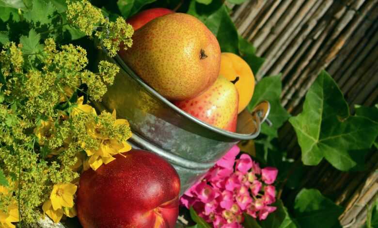 fruit, garden, nature, harvest, still life, multicoloured, food, beautiful flowers, meal, flower, flower background, yummy, fresh, flower wallpaper, ripe, colorful, healthy, health, vitamins