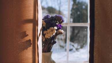 flowers, flower background, bouquet