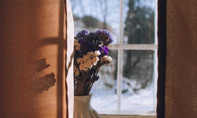 flowers, flower background, bouquet