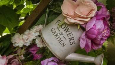 pink and orange flowers on grey watering can