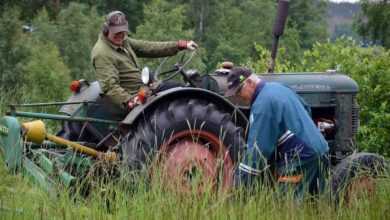 tractor, nature, men, summer