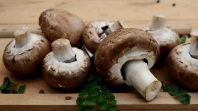 mushrooms, edible mushrooms, vegetarian, ingredient, edible