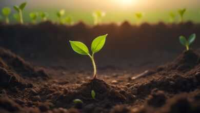 plant, sprout, growth, nature, earth, grow, success, soil, leaves, green, earthday, ai generated, sprout, soil, soil, soil, soil, soil