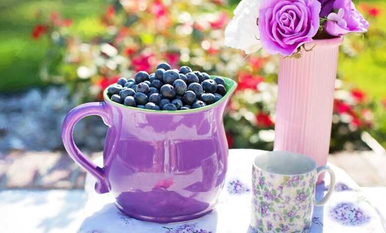 blueberries, summer, fruit