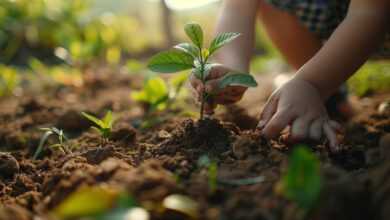 child, gardening, plant