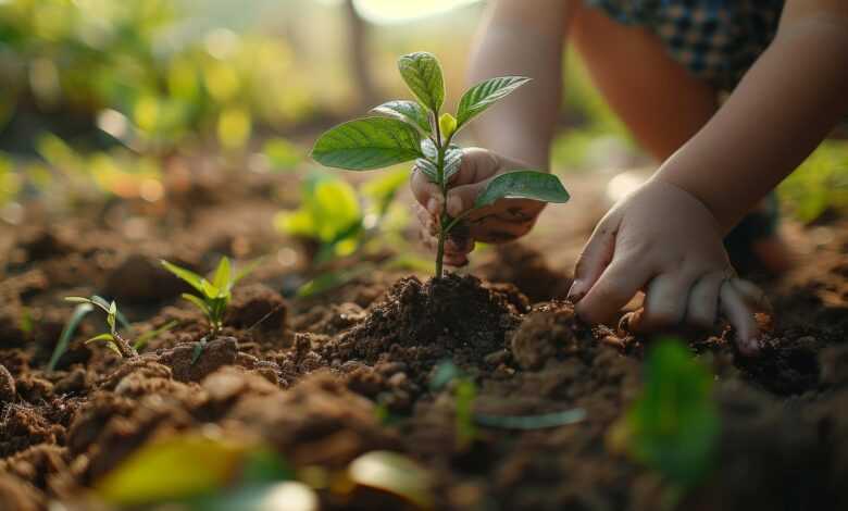 child, gardening, plant