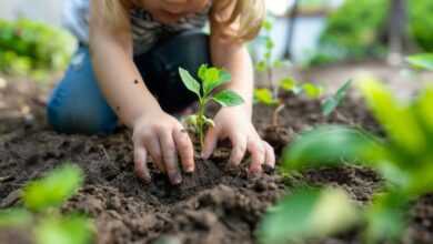 child, gardening, plant