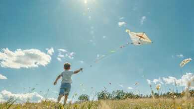 kid, kite, field, darling, sunny, summer, nature, liberty, play, open air, blue, green, fun, childhood, fly, exercise, prairie, happiness, day, light, landscape, clouds, air, movement