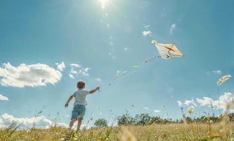 kid, kite, field, darling, sunny, summer, nature, liberty, play, open air, blue, green, fun, childhood, fly, exercise, prairie, happiness, day, light, landscape, clouds, air, movement