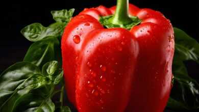 capsicum, food, healthy