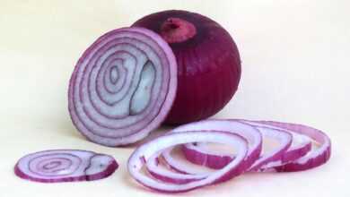 onion, chopped onion, tropea red onion, onion, onion, onion, onion, onion