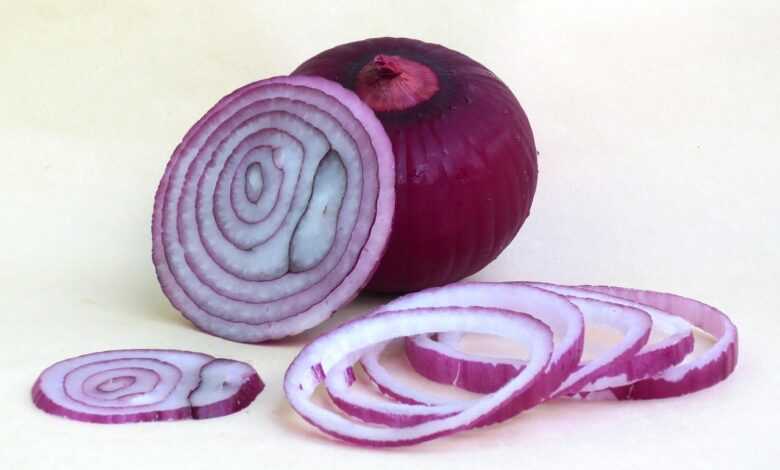 onion, chopped onion, tropea red onion, onion, onion, onion, onion, onion