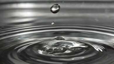 water, water drop, nature, ripples, wave, small wave, droplet, drip, drop of water, liquid