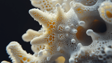 fungus, texture, macro, closeup, pattern, porous, nature, organic, intricate, structure, natural, biology, wild, delicate, environment, growth, unique, artistic, vibrant, abstract, soft, microbial, biological, ai generated
