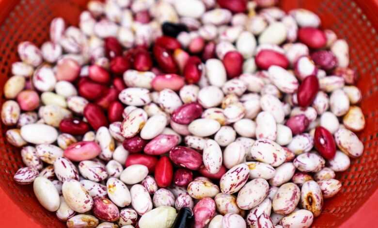 red, beans, basket