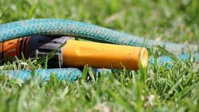 garden hose, water, to water