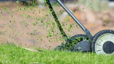 lawn mower, grass, cutting