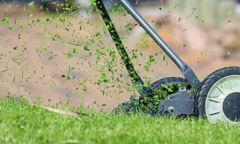 lawn mower, grass, cutting