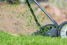 lawn mower, grass, cutting, cutting grass, lawn, hand lawn mower, lawn mowing, mow, meadow, manual operation, green, nature, blades of grass, grass blades, lawn mower, lawn mower, lawn mower, lawn, lawn, lawn, lawn, lawn, lawn mowing