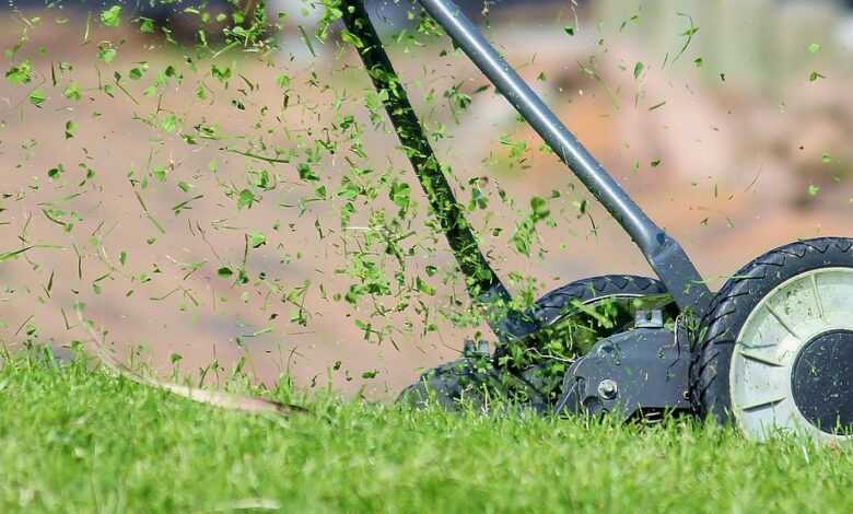 lawn mower, grass, cutting, cutting grass, lawn, hand lawn mower, lawn mowing, mow, meadow, manual operation, green, nature, blades of grass, grass blades, lawn mower, lawn mower, lawn mower, lawn, lawn, lawn, lawn, lawn, lawn mowing