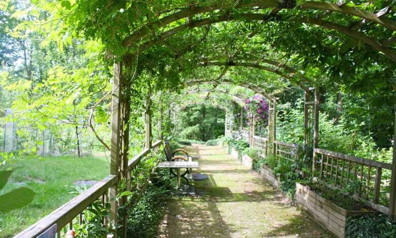 pergola, shady walk, garden walk, arbor, path, leafy, green walking, green path, pergola, pergola, pergola, pergola, pergola, garden walk, arbor, arbor, arbor, arbor