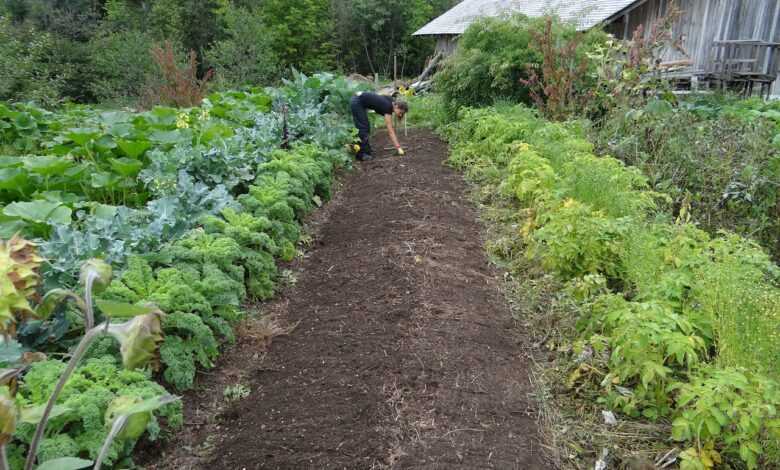 food, garden, power