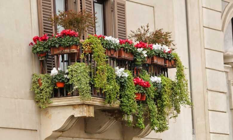 balcony, flower box, flower