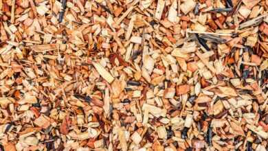 wood chips, landscape, wood