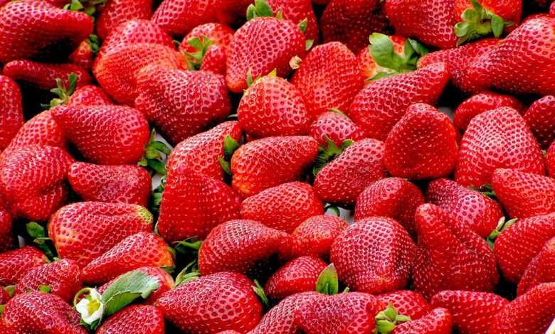 strawberries, fruit, food, red fruit, wallpaper hd, full hd wallpaper, produce, desktop backgrounds, wallpaper 4k, free background, 4k wallpaper 1920x1080, cool backgrounds, hd wallpaper, laptop wallpaper, mac wallpaper, harvest, ripe, healthy, vitamin, windows wallpaper, 4k wallpaper, nutrition, berry, beautiful wallpaper, delicious, free wallpaper, tasty, wallpaper, background