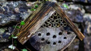 a bird house hanging on a brick wall