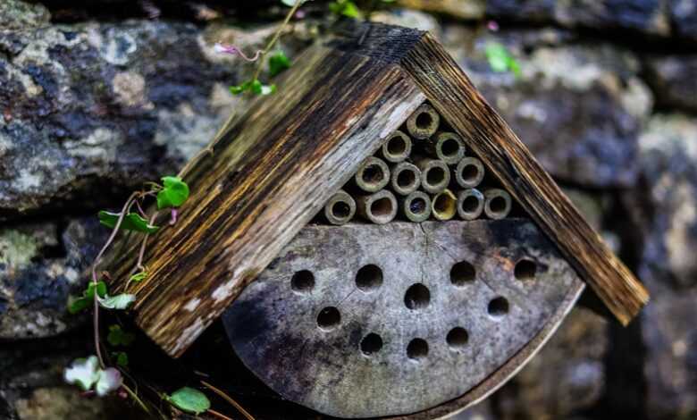 a bird house hanging on a brick wall