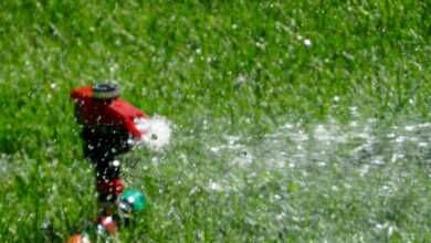 red garden sprinkler