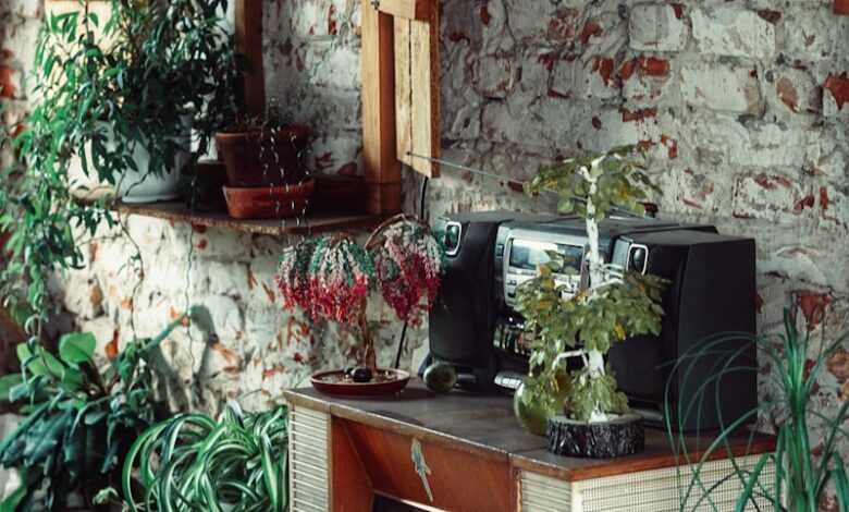 green potted plant on brown wooden table