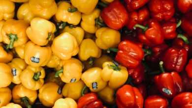 yellow and red bell peppers