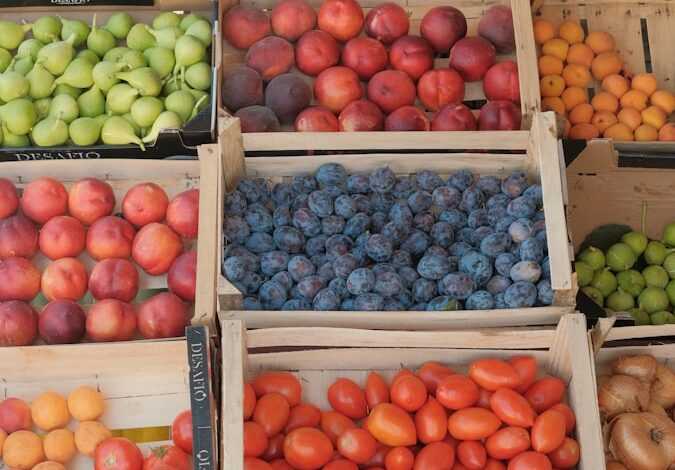 a bunch of boxes filled with different types of fruit