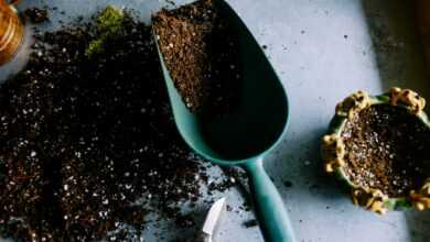 green metal garden shovel filled with brown soil