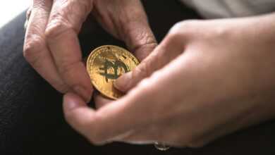 person holding round gold-colored Bitcoin