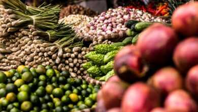 assorted vegetable lot